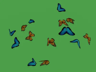butterflies animation Low-poly 3D model