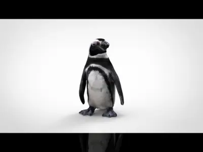 PENGUIN Low-poly 3D model