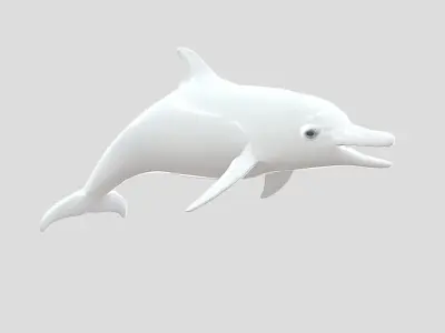 Dolphin Realistic Animated Low-poly 3D model