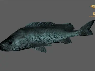 Animated Black Rock Fish - Loop Animation with 1160 Frames Low-poly 3D model