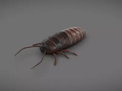 Roach - Read Description Low-poly 3D model