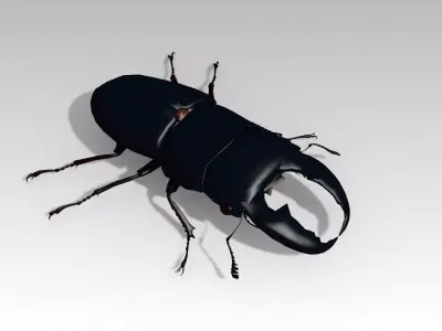 Giant Stag Beetle Low-poly 3D model