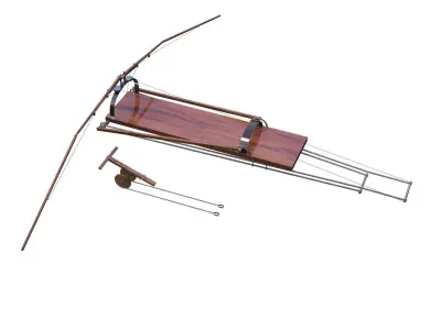 Leonardo da Vinci Flapping Aircraft 3D model