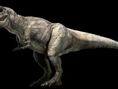 Tyrannosaurus Rex Anatomy 3D model