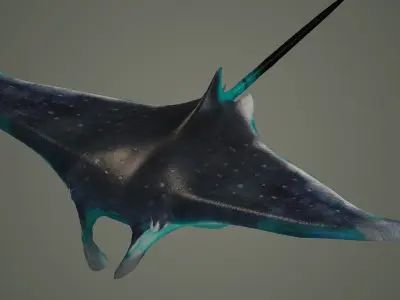 mantaray manta ray mantas devil fish shark giant reef  3D model