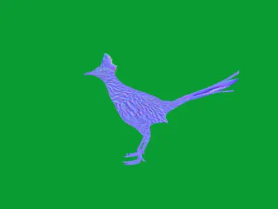 Roadrunner Chaparral Bird Low-poly 3D model