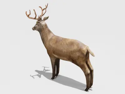 Deer Obj Blend 3D model