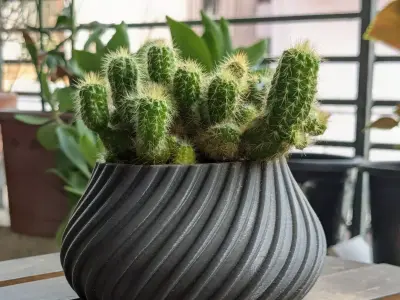Spiral Cactus Pot A 3D Printed Minimalist Design Free 3D print model