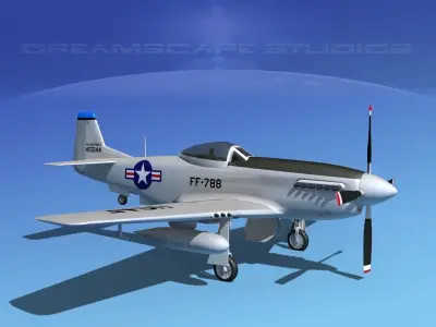 F-51D Mustang USAF 2 3D model
