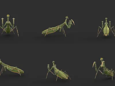 Robot Mantis 3D model