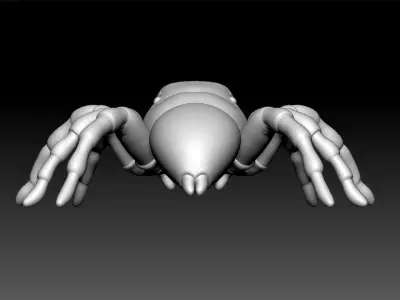 Jumping Spider Low-poly 3D model