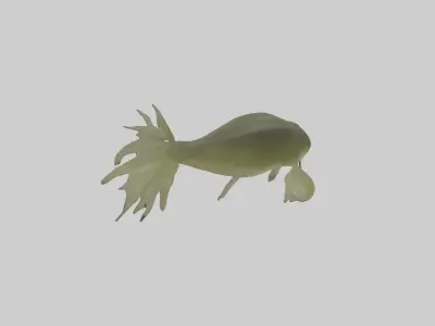 Tadpole Model Low-poly 3D model