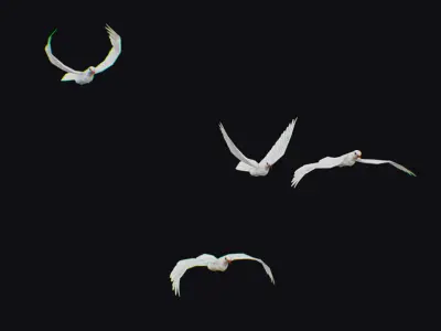 Dove Flock White Bird Animated Swarm Shoal Birds Lowpoly Doves Low-poly 3D model