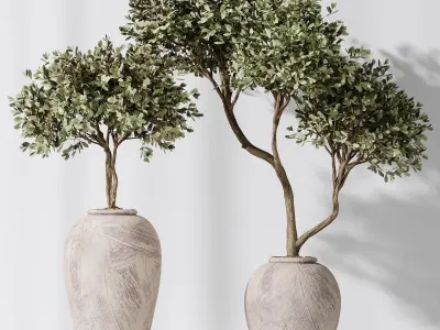 Bird Of Paradise Bird and Olive Tree Indoor Vase 11 3D model