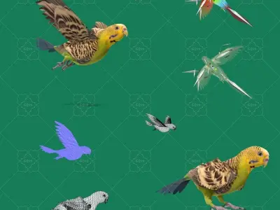 Budgerigar Parakeet Parrot Bird Low-poly 3D model
