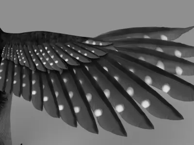 Downy Woodpecker 3D model