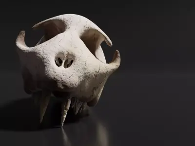 Cat Skull Free 3D model