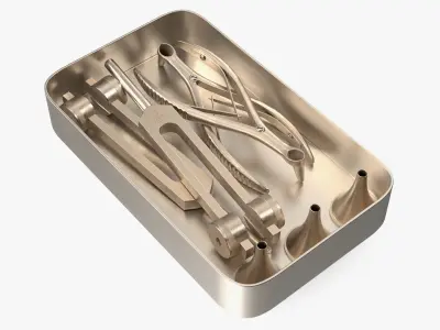 ENT Diagnostic Kit in Box Gold-Plated Stainless Steel 3D model