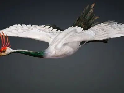 Crane Bird-B3 3D model