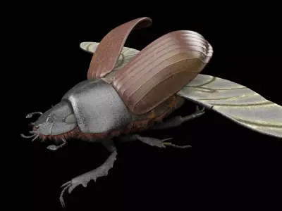 Dung Bettle insect Low-poly 3D model