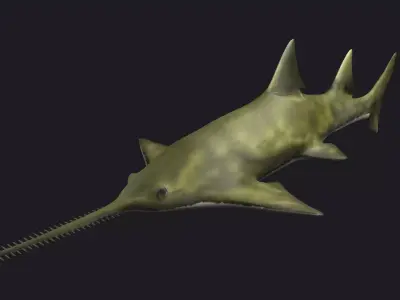 fish shark sawfish animal aquatic extinct ocean 3D model