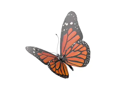 Butterfly orange insect Papillon 3D model