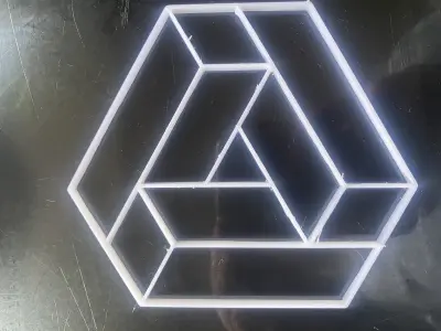 5 modelos diferentes  gato  aguila luna cubo colibri 3D model