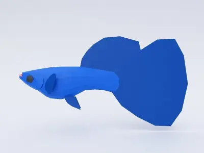  Guppy fish 3d model  Low-poly 3D model