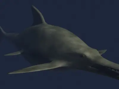 Ichtyosaurus shark Low-poly 3D model