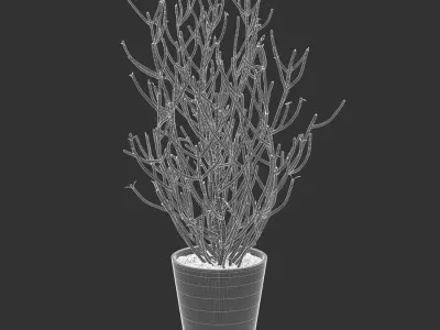  Pencil Cactus Succulent Potted Plant Model 