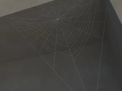 Spiderweb 3 3D model