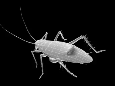 animated cockroach Low-poly 3D model