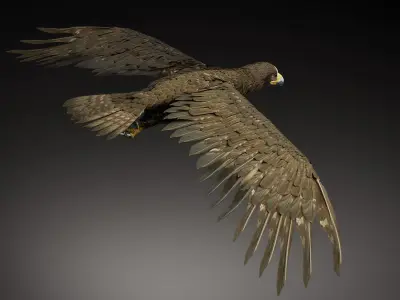 Golden Eagle 3D Model I Game Ready Blender Low-poly 3D model