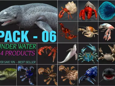 Pack-06 UnderWater 3D model