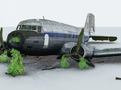 Wrecked Airplane with interior Low-poly 3D model