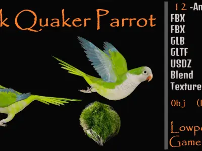 Monk Quaker Parrot Bird Low-poly 3D model