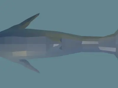Dolphin in low polygons Free low-poly 3D model