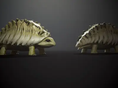 Tortoise1 - Game Ready Low-poly 3D model Low-poly 3D model