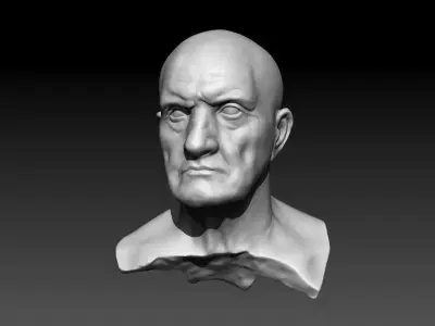 Bust of Man 3D print model