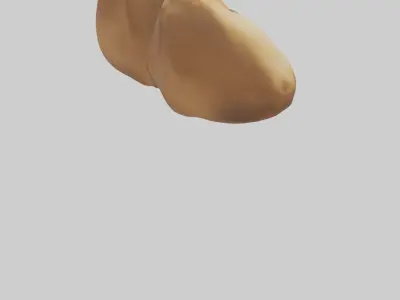 Camel Humps Low-poly 3D model