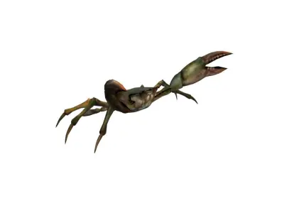 Rigged Crab Model Low-poly 3D model