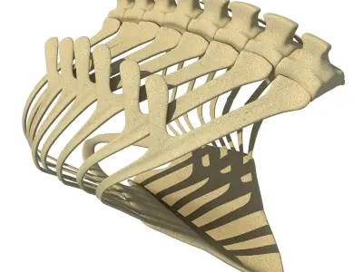Penguin Rib Cage 3D model