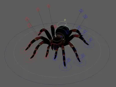 Tarantula Low-poly 3D model