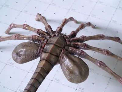 Alien Facehugger - 3D Asset Kit PBR Low-poly 3D model