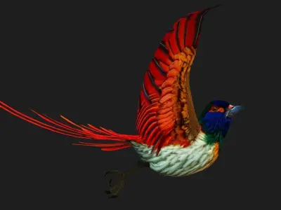 PheasantBird B6 3D model