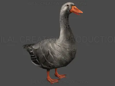 DUCK GRAY ANIMATED Low-poly 3D model
