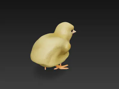 Chick Baby 3D Model Basic - Low Poly Simple Low-poly 3D model