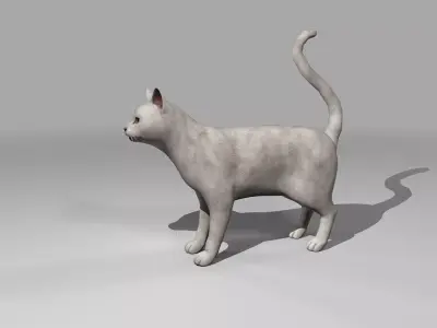 White Cat Rigged Low-poly 3D model