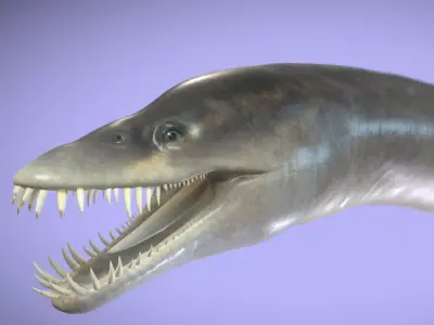 Elasmosaurus Low-poly 3D model