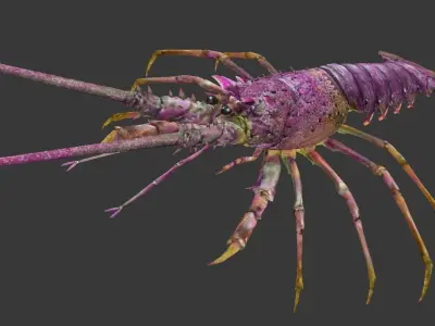 lobster Australian lobster Low-poly 3D model